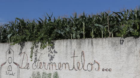 Portugal-Wall-and-corn