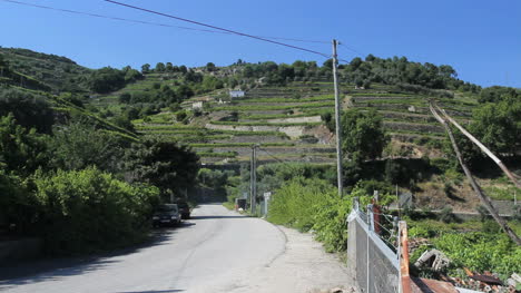 Portugal-Vineyards-and-road