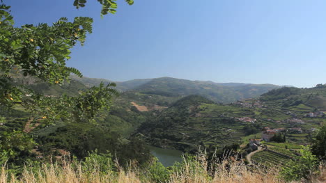 Vineyards-and-Douro-7