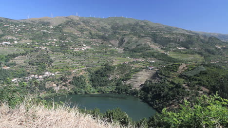 Vineyards-and-Douro-view-in-Portugal