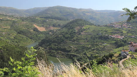 Weinberge-Und-Douro-Landschaft