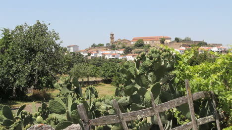 Valencia-De-Alcantara-España-Con-Valla-Y-Cactus