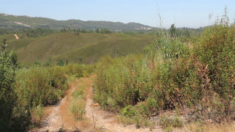Camino-Del-Paisaje-Portugués