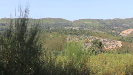 Portuguese-landscape-with-hills
