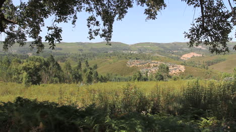 Portugiesische-Landschaft-Gerahmt-In-Ast