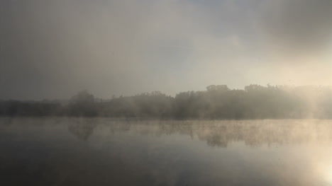 Portugal-Lago-Y-Bosque-En-Niebla