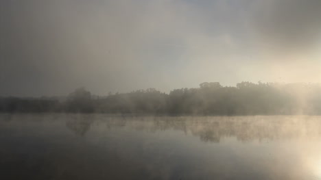 Portugal-See-Und-Wälder-Im-Nebel