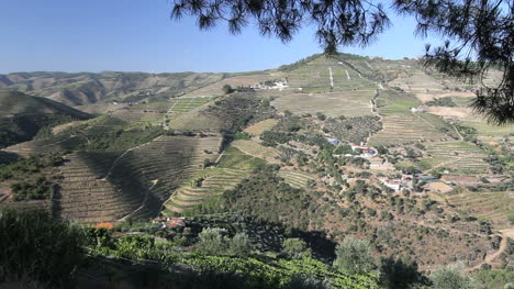 Portuguese-vineyards-in-dramatic-hill-country