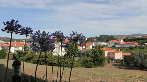 Portugal-Porenca-da-Nova