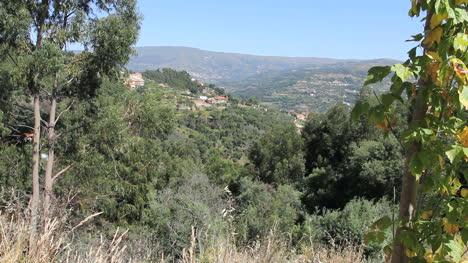 Hügel-Jenseits-Des-Douro