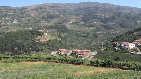 Douro-Dorf-In-Einem-Tal-Und-Weinbergen