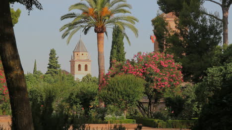 Spain-Andalucia-Alhambra-flowers-and-tower