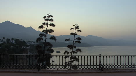 Spain-Andalucia-Nerja-pom-pom-branches-by-balcony-6a