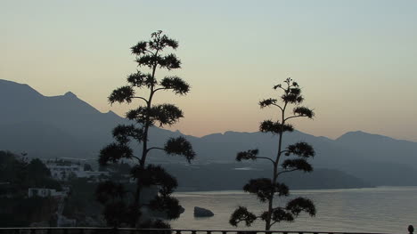 Spain-Andalucia-Nerja-tufted-trees-and-hills-5a