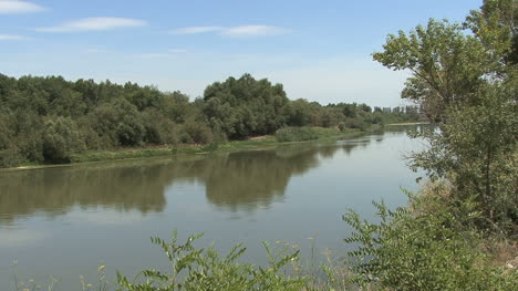 Spanien-Ebro-Flussbäume-Am-Ufer