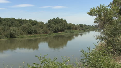 España-Río-Ebro-árboles-En-Banco