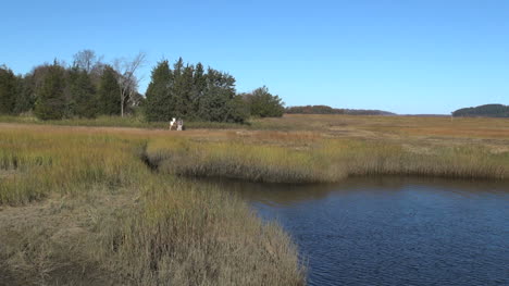 Massachusetts-Essex-Marsh-Marea-Corriente-Con-El-Artista-Sx