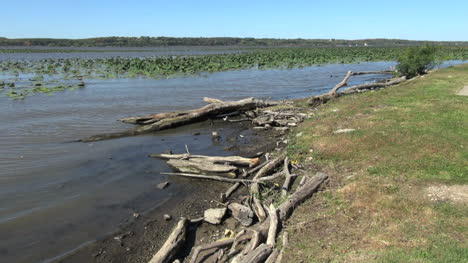 Illinois-Río-Mississippi-Con-Trozos-De-Madera