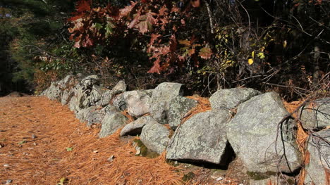 Massachusetts-New-England-stone-wall-&-leaves\