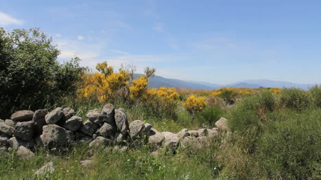 Spanien-Sierra-De-Avila-Steinmauer-1