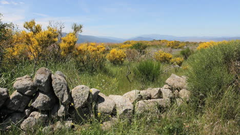 Spanien-Sierra-De-Avila-Steinmauer-2