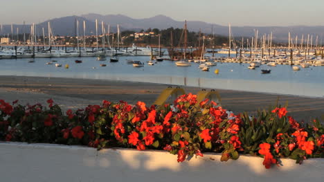 Spain-Baiona-Pinta-and-red-flowers