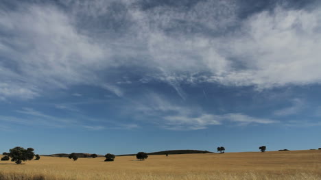 La-Mancha-wheat-and-sky