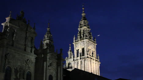 Santiago-night-cathedral-and-bird
