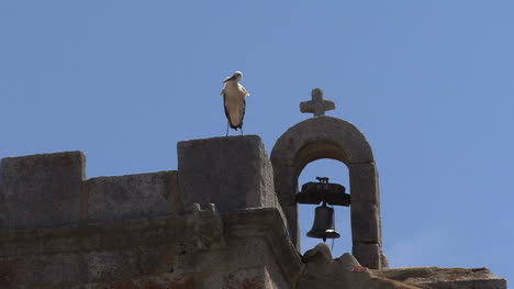 Spain-stork-and-church-2