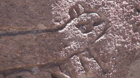Chile-Atacama-iguana-rock-glyph-7