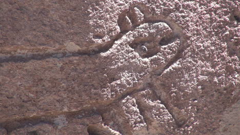 Chile-Atacama-Leguan-Rock-Glyphe-7