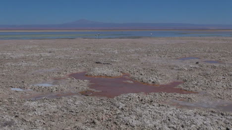 Chile-Atacama-Laguna-Chaxa-Kastanienbraune-Pfütze-1