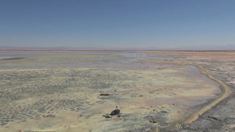 Chile-Atacama-Laguna-Chaxa-patterned-mud-zoom-to-birds-4