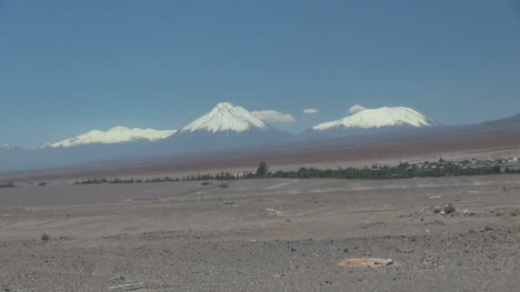 Chile-Atacama-Toconao-Laublinie-In-Der-Wüste-1