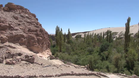 Chile-Atacama-Valle-De-Jere-Rock-Und-Pappeln-3