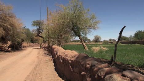 Atacama-oasis-road