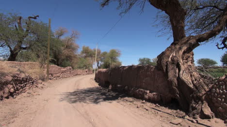 Atacama-Oasenstraße