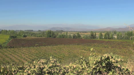 Chile-Colchagua-valley-vineyards-view