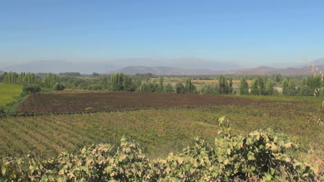 Chile-Colchagua-Tal-Weinberge-Aussicht