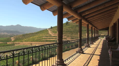 Chile-Winery-gallery-and-vineyards-editorial