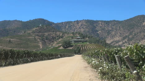 Chile-vineyard-road-editorial