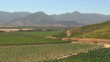 Chile-Santa-Cruz-vineyards-and-Andean-foothills