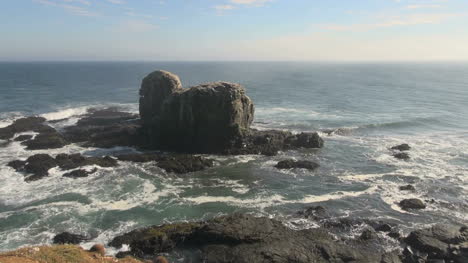 Chile-Insel-Vor-Punta-Lobos