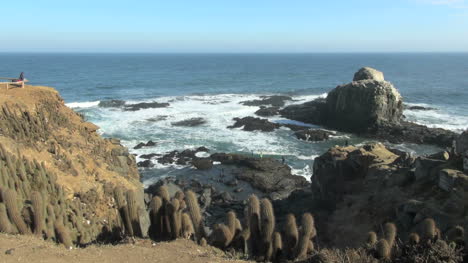 Chile-Punta-Lobos-Blick-Von-Einer-Klippe
