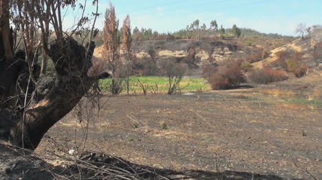 Chile-coast-range-burned-over-fields