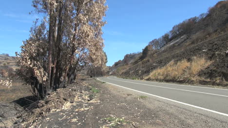 Chile-coast-range-burned-over-along-a-road