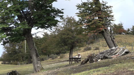 Patagonien-Bäume-Picinic-S1
