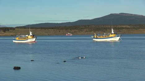 Puerto-Natales-boats-in-sound-s