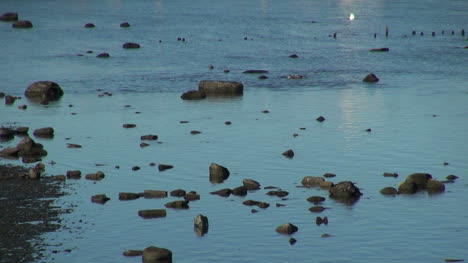 Puerto-Natales-Enten-Und-Felsen-S