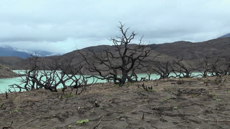 Chile-Torres-Del-Paine-Burn-1s